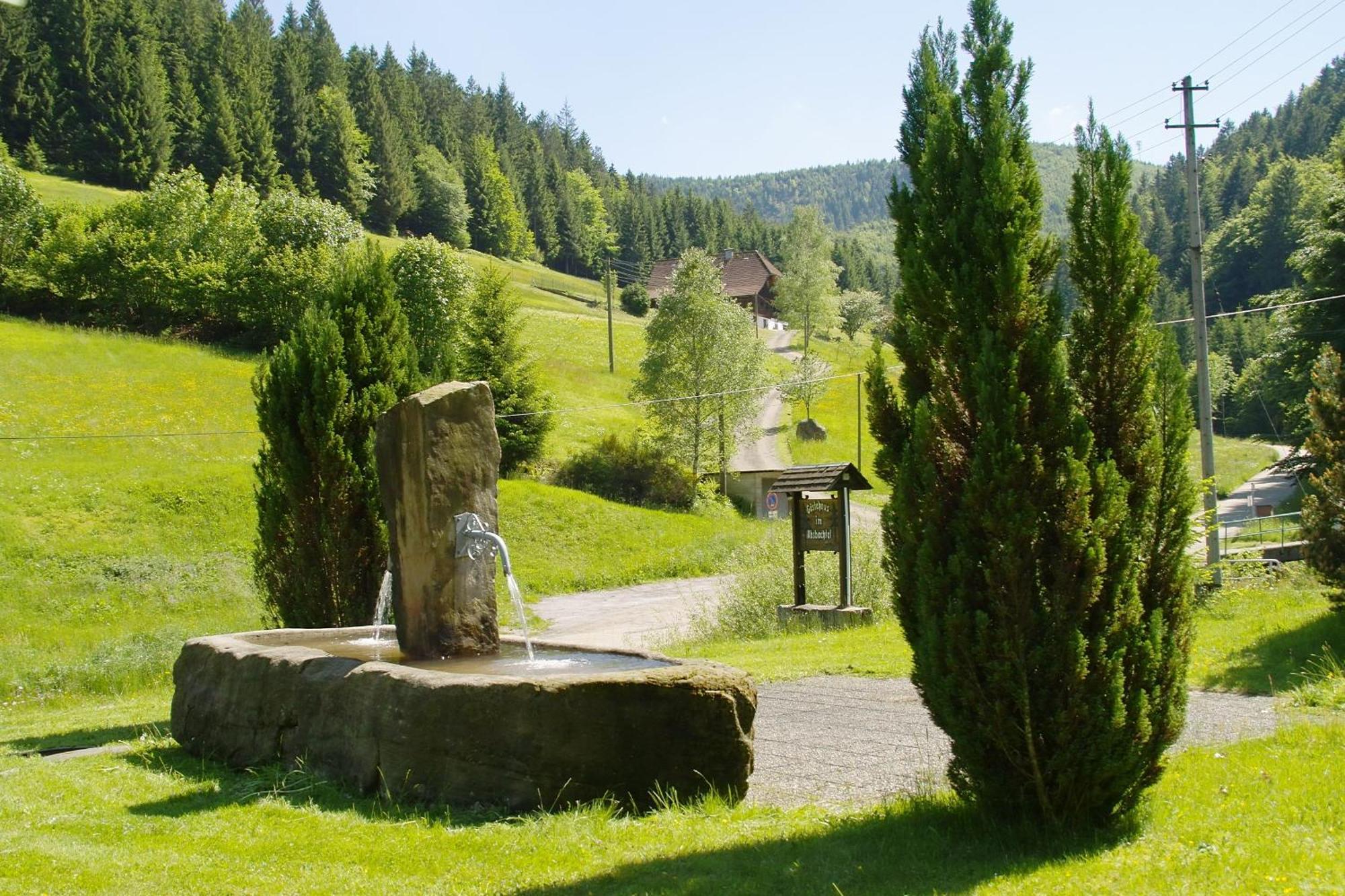 Gaestehaus Absbachtal Bad Rippoldsau-Schapbach Dış mekan fotoğraf