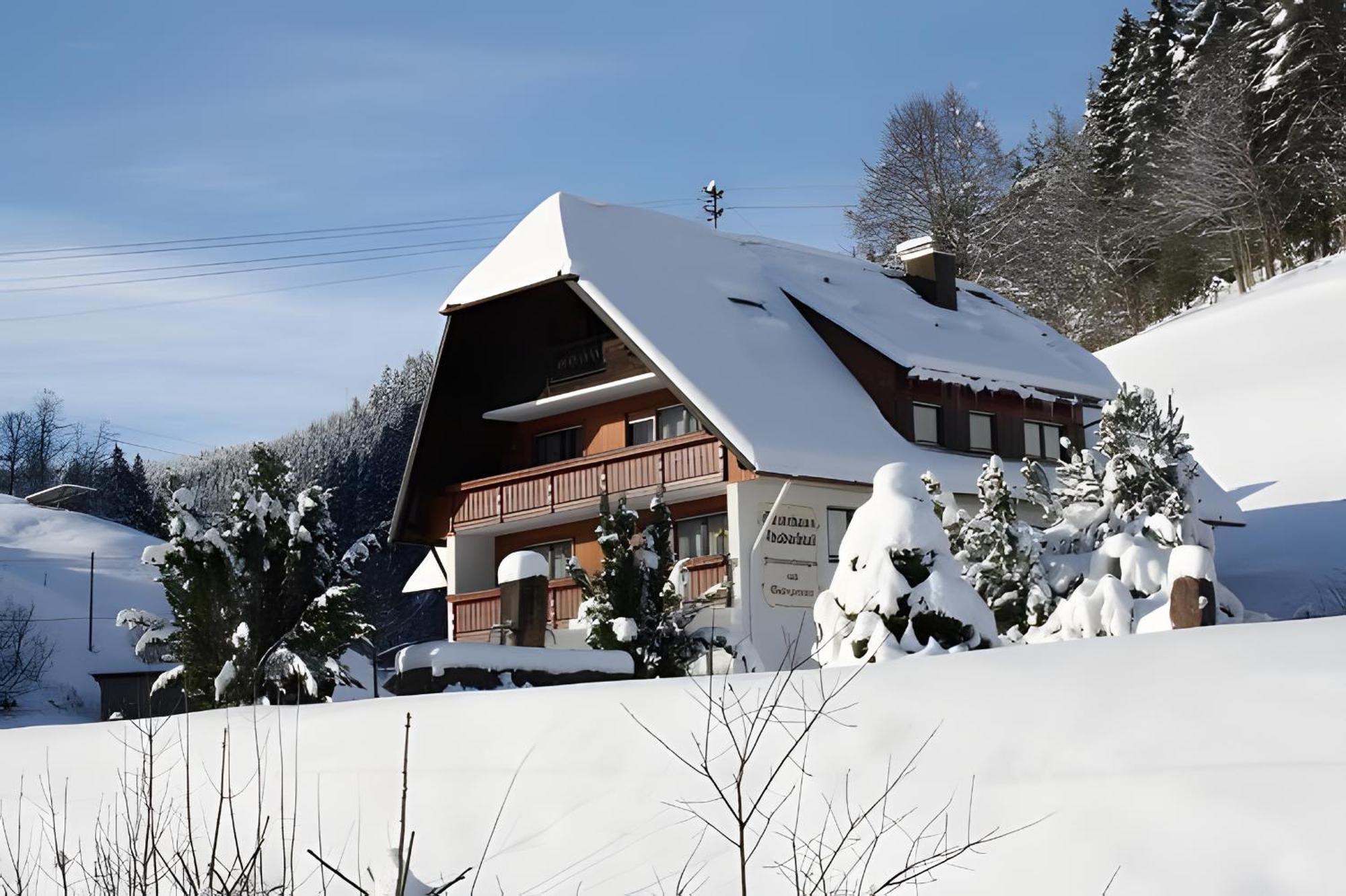 Gaestehaus Absbachtal Bad Rippoldsau-Schapbach Dış mekan fotoğraf